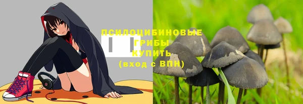 марки lsd Медногорск